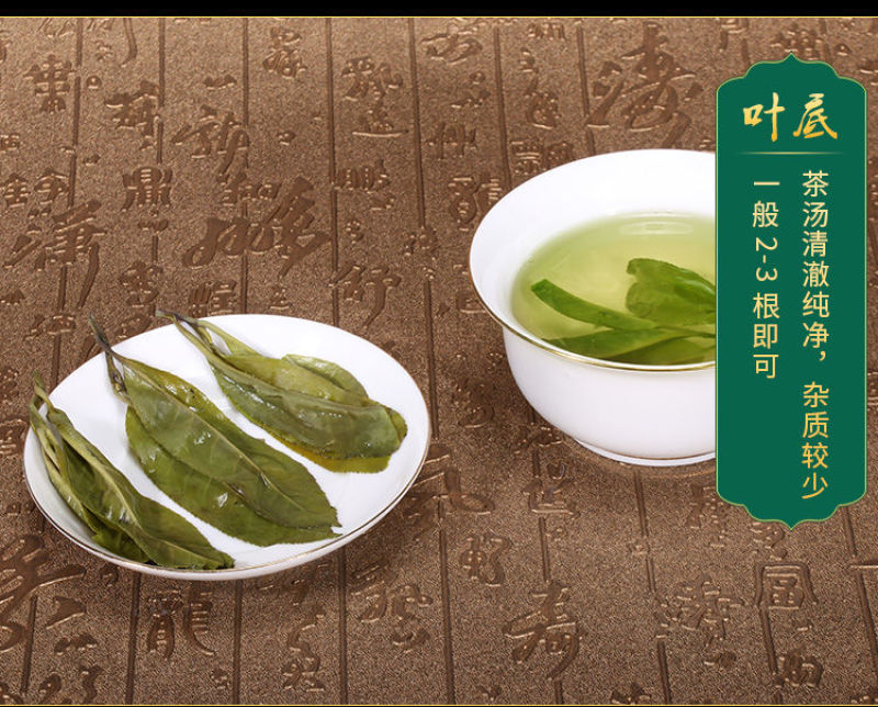 海南大叶苦丁茶送精美礼盒罐装新品五指山原产青山绿水特产