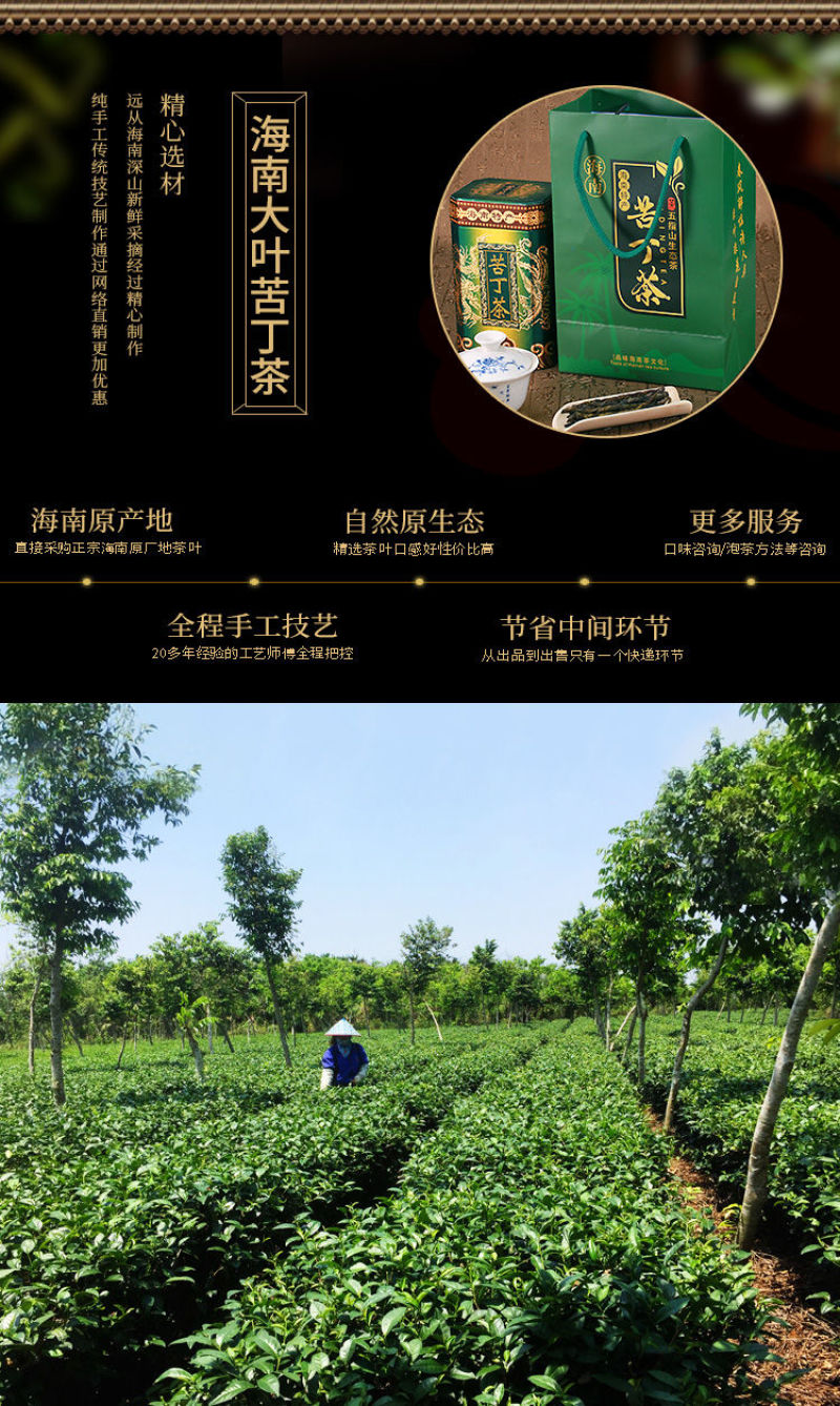 海南大叶苦丁茶送精美礼盒罐装新品五指山原产青山绿水特产
