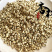 薏苡仁薏仁薏米仁小薏米95米新货产地贵州省