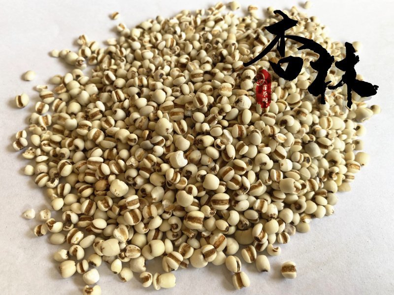 薏苡仁薏仁薏米仁小薏米95米新货产地贵州省