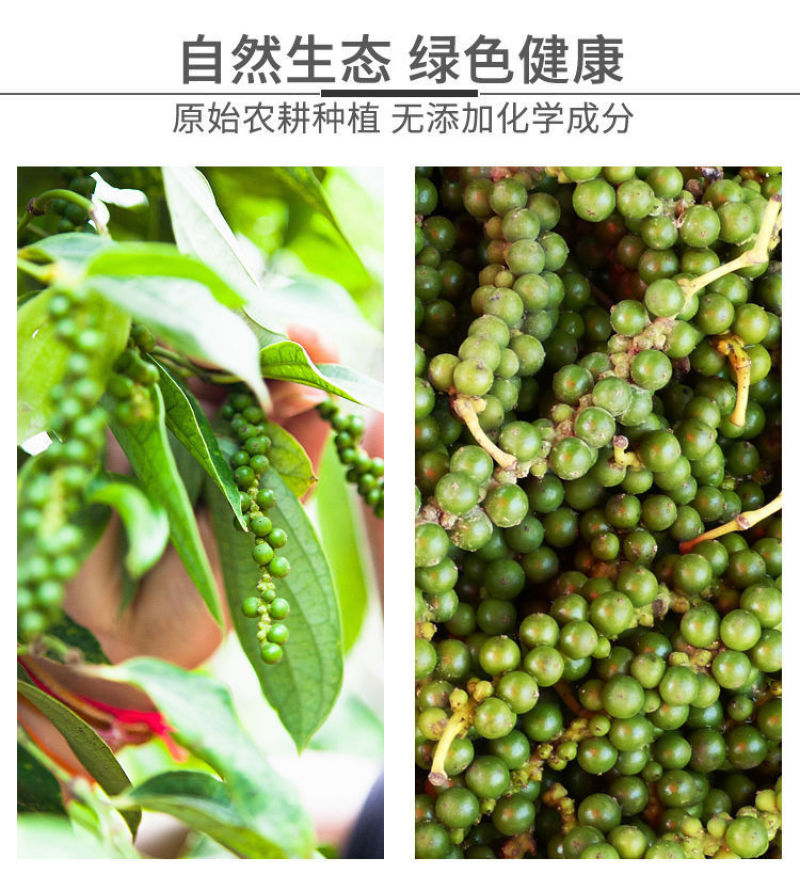 海南黑胡椒粉农家兴隆特产胡椒粉牛排批发包邮