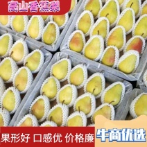 梨高山优质香蕉梨陕西梨口感好光果