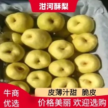 高山优质泔河酥梨核小皮薄口感好甘河酥梨甜