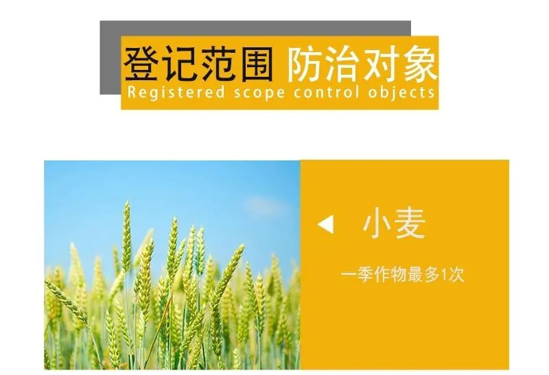 七洲果全用15%多效唑植物调节剂调节生长增产控制生长
