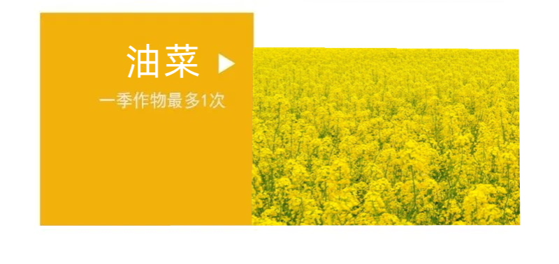 七洲果全用15%多效唑植物调节剂调节生长增产控制生长