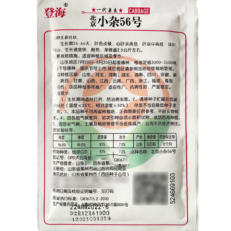 大白菜种子小杂56登海早熟抗病强黄芯生长速度快