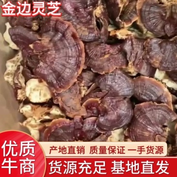 金边灵芝，产地直销，全国发货，质量保证，物美价廉
