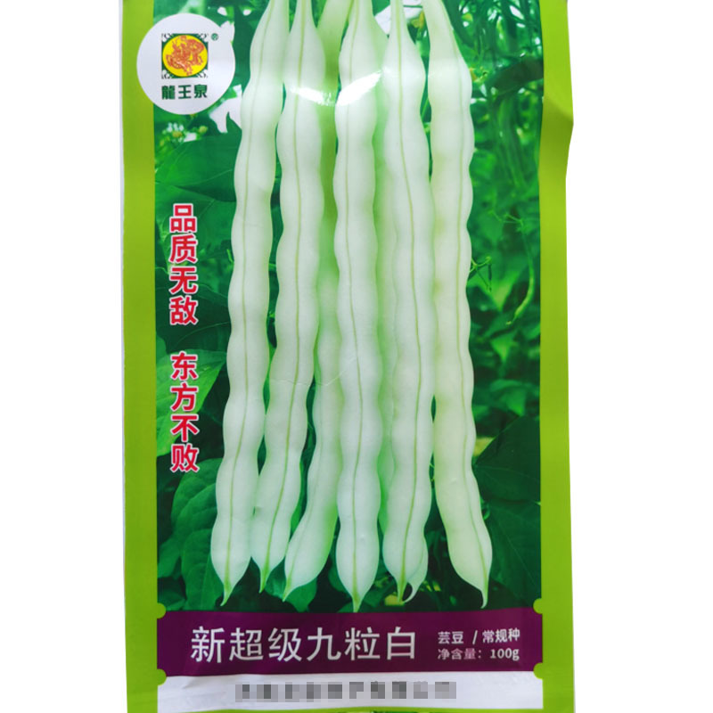 九粒白芸豆种子白不老豆角种子四季种植结荚早抗病强