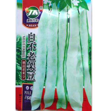 架豆种子高产王豆角白不老老来少芸豆种籽