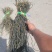 精品干豆角，品质好货，诚信经营，全国发货