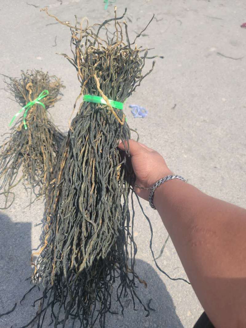 精品干豆角，品质好货，诚信经营，全国发货