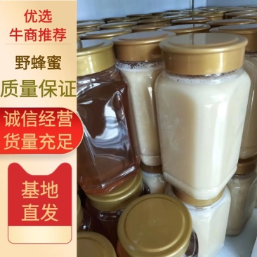 精品蜂蜜，野蜂蜜一手货源视频看货品质保证以质论价