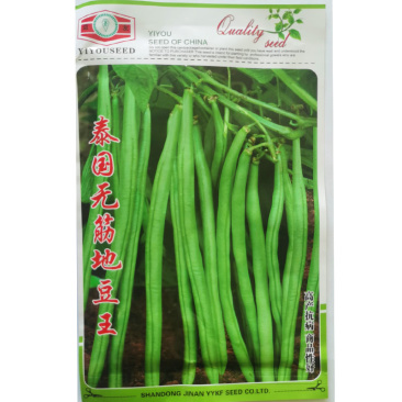 无筋豆种子