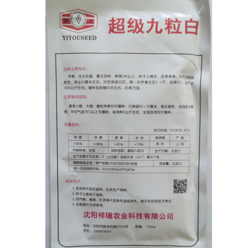 改良九粒白芸豆种籽春秋季早熟抗病强