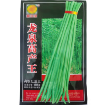 淡绿条豇豆种子特长抗病高产耐热蔬菜籽春秋四季播农家豆角摘