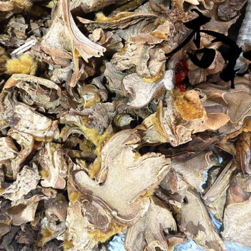 狗脊大片精选狗脊货干颜色好为冲销量货好价格低