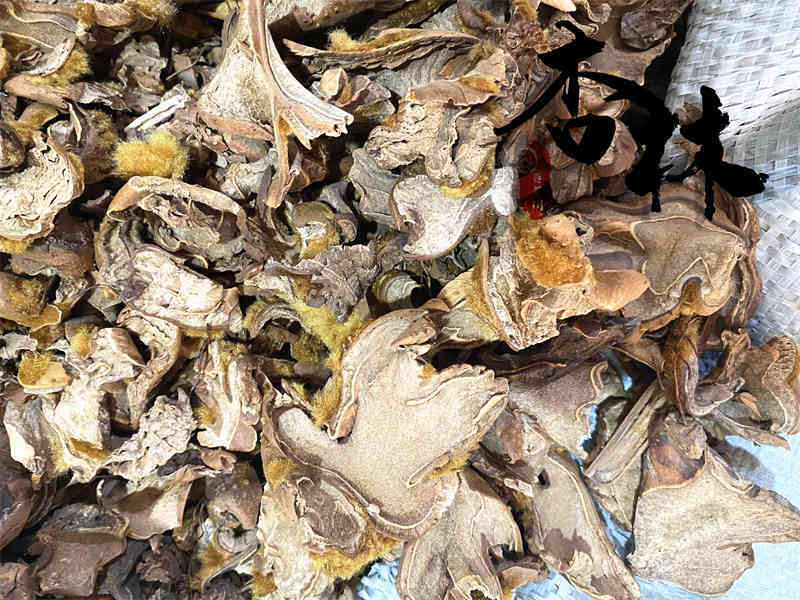 狗脊大片精选狗脊货干颜色好为冲销量货好价格低