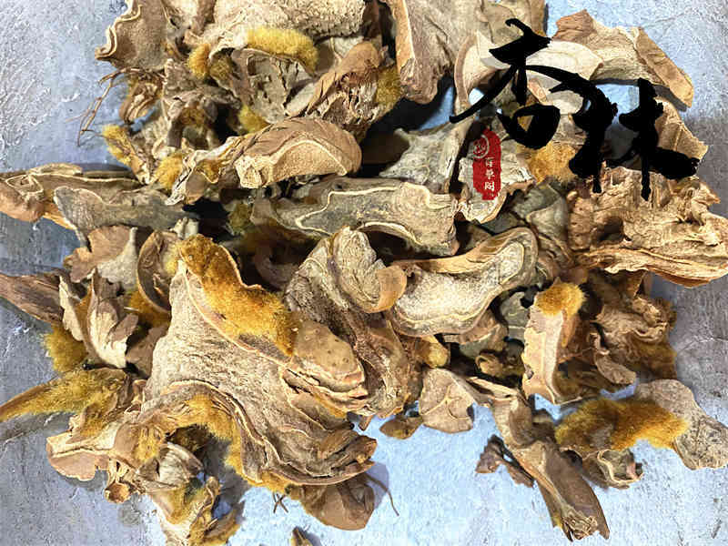 狗脊大片精选狗脊货干颜色好为冲销量货好价格低