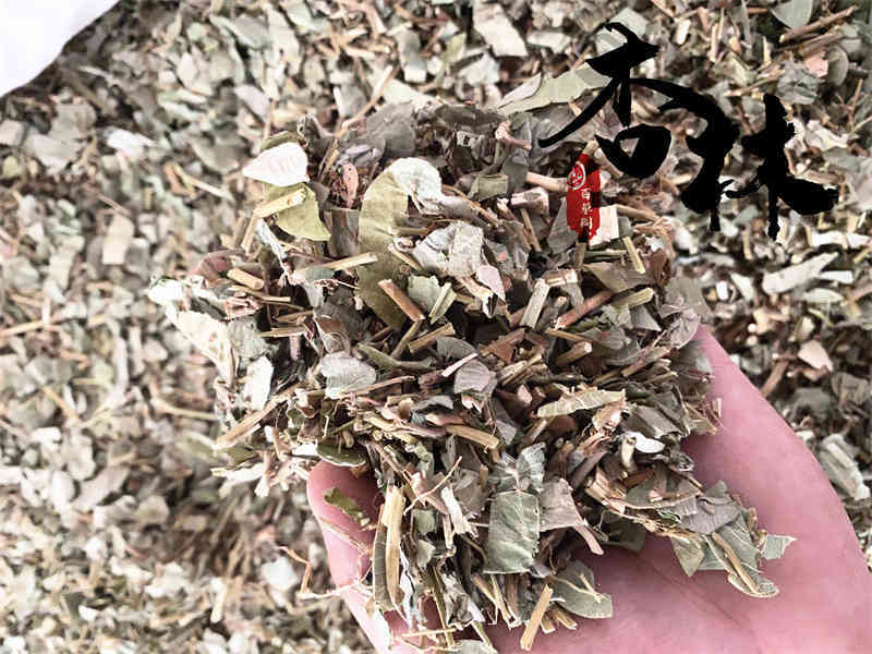 金钱草大叶广金钱草产地广东省