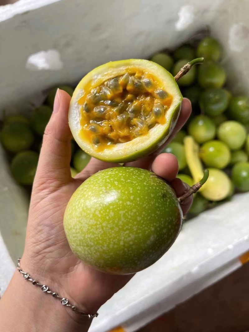 钦蜜9号】黄金百香果批发零售直供代发商超，电商，饮料店