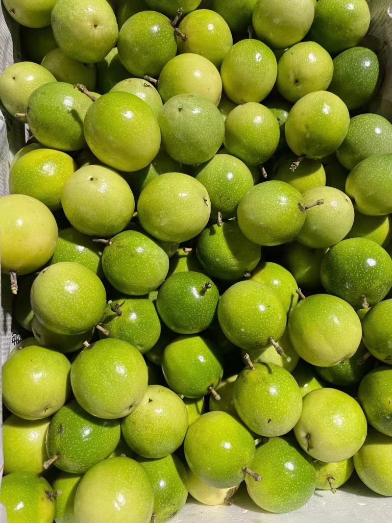 钦蜜9号】黄金百香果批发零售直供代发商超，电商，饮料店
