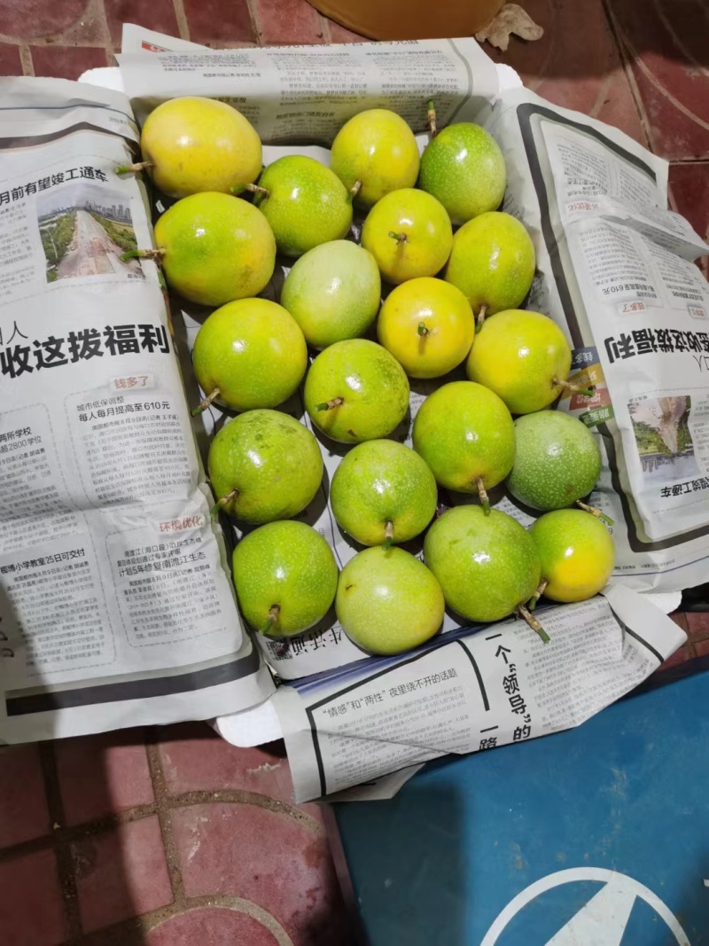 钦蜜9号】黄金百香果批发零售直供代发商超，电商，饮料店
