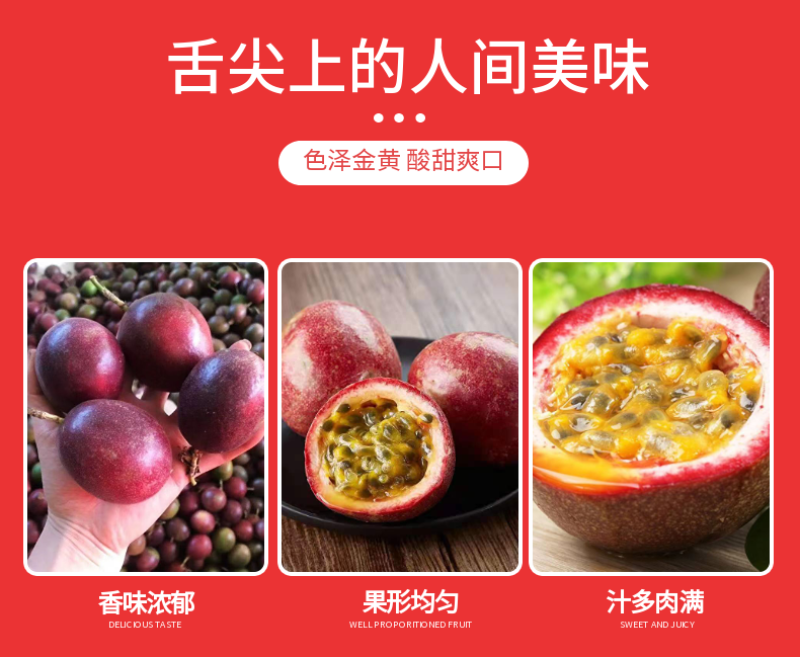【台农】紫红百香果特大果批发零售直供商超电商奶茶店