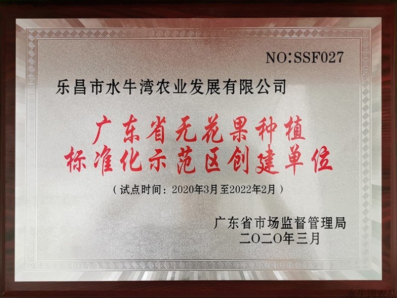 有机无花果干1箱80g×6罐《老广的味道》拍摄果园出品