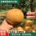 【推荐】山东丰水梨精品梨产地批发货源充足对接团代发全国