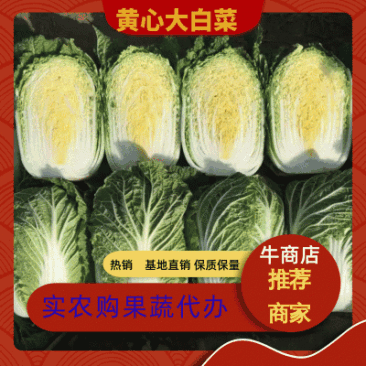 【实力】精品黄心大白菜，承接代销代购，各种蔬菜大量供应中