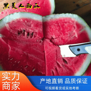 推荐黑美人西瓜，大量供应电商，市场，等高质量