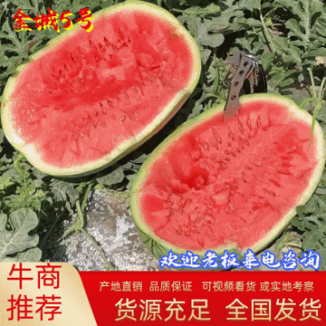 【实力商家】推荐西瓜宁夏硒砂瓜，石头瓜，宁夏产地直发