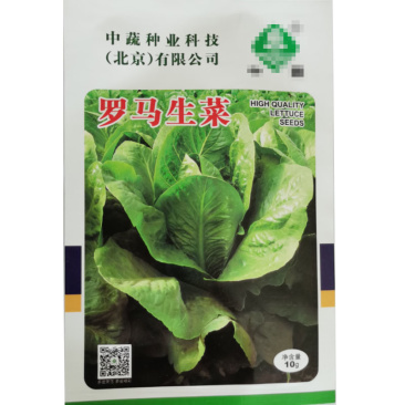 罗马耐抽苔生菜王种子种籽意大利秋冬季菜四季籽