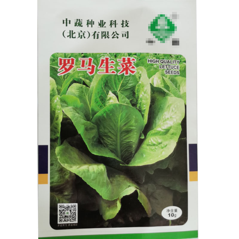 罗马耐抽苔生菜王种子种籽意大利秋冬季菜四季籽