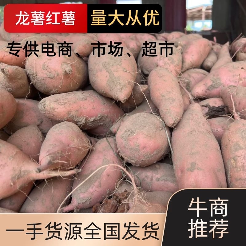 龙薯9号黄心3两以上。产品源自产地，诚信经营现挖现发
