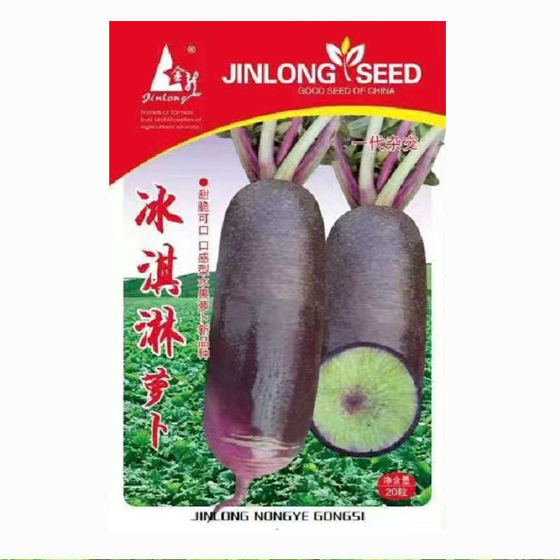 冰淇淋水果萝卜种子早熟紫皮绿肉蔬菜沙拉春秋陆地栽培