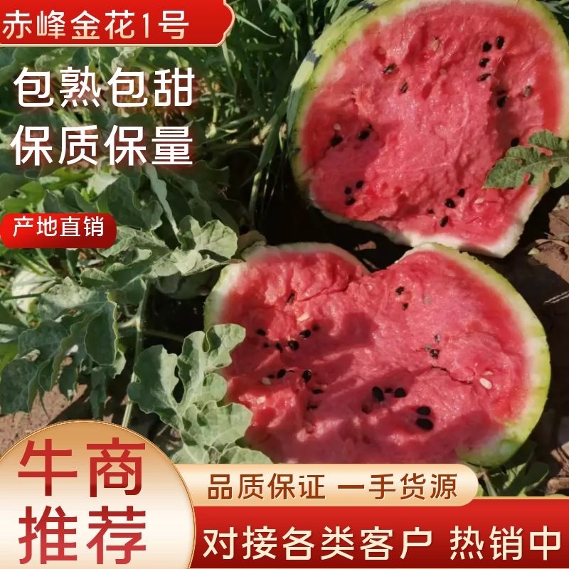 金花西瓜赤峰西瓜产地直发包熟包甜欢迎合作