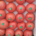 寿光硬粉西红柿原产地，欢迎商超和和各大批发商