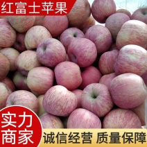 【推荐】小果65～75小富士平果，山东红富士，全国发货