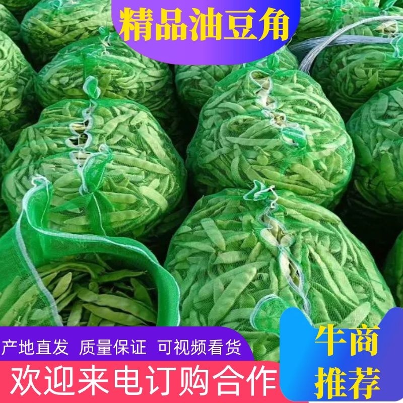 豆角【精品】油豆角大量上市，货源充足，可代发全国各地