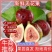 【推荐】江苏精品波姬无花果基地直供一手货源货源采购