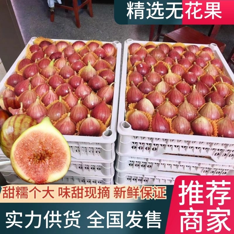 无花果基地直发口感蜜甜个头大一手货源可视频看货欢迎咨询