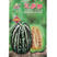 甜瓜芝麻酥种子花皮香瓜种籽早熟春季蔬菜种孑