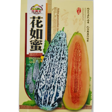 花皮甜瓜种子超甜香瓜早熟香甜可口多汁酥脆春夏四季播种籽