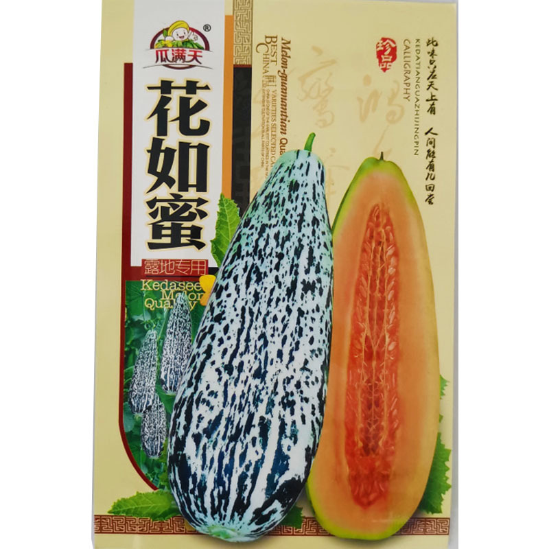花皮甜瓜种子超甜香瓜早熟香甜可口多汁酥脆春夏四季播种籽