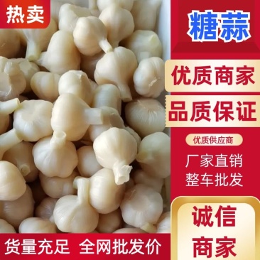 糖蒜糖醋蒜头泡菜咸菜酸甜脆爽精挑山东大蒜整车批发～