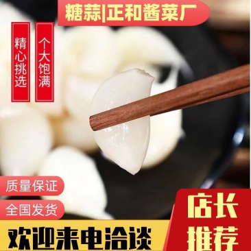 【腌蒜】糖蒜糖醋蒜头泡菜咸菜酸甜脆爽农家自制山东新鲜小蒜
