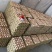 土鸡蛋初生蛋鸡蛋鲜发品质保证全国发货