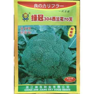 绿冠304西兰花种子70天青花菜种子高产西兰花种子早中熟