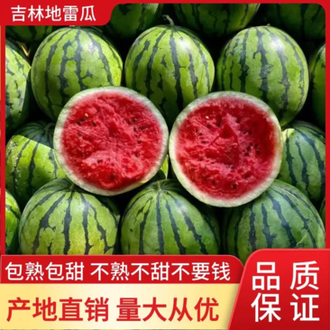 东北地雷瓜庆红999包熟包甜产地实力代办质量保障